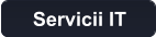 Servicii IT