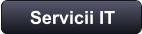 Servicii IT